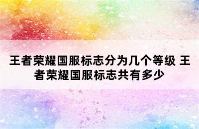 王者荣耀国服标志分为几个等级 王者荣耀国服标志共有多少